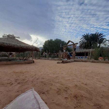 مبيت وإفطار نويبع Sababa Beach Camp المظهر الخارجي الصورة