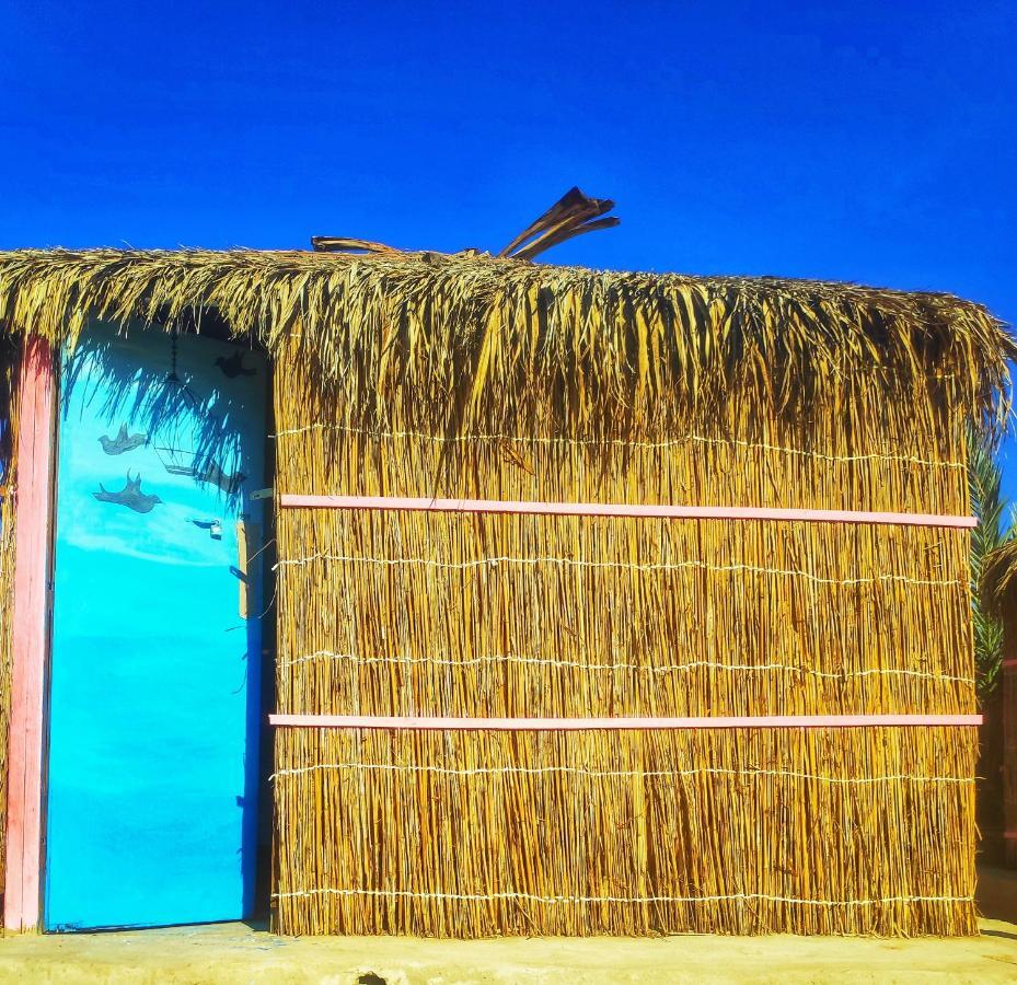مبيت وإفطار نويبع Sababa Beach Camp الغرفة الصورة