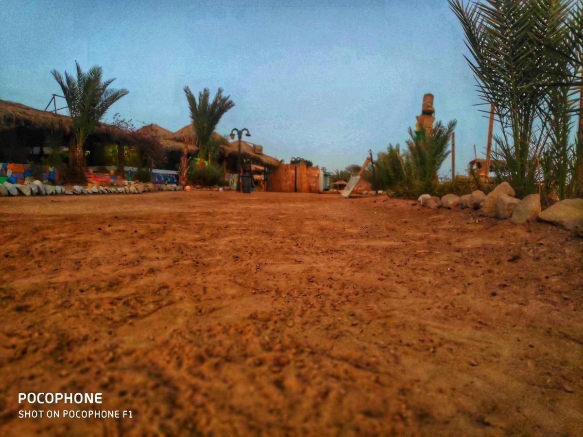 مبيت وإفطار نويبع Sababa Beach Camp المظهر الخارجي الصورة